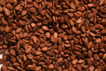 Premium Red-Brown Sesame Seeds - Pesticide-Free, Bulk Export from B. N. EXPORTS PVT. LTD. Premium Red-Brown Sesame Seeds - Pesticide-Free, Bulk Export - B. N. EXPORTS PVT. LTD. - India